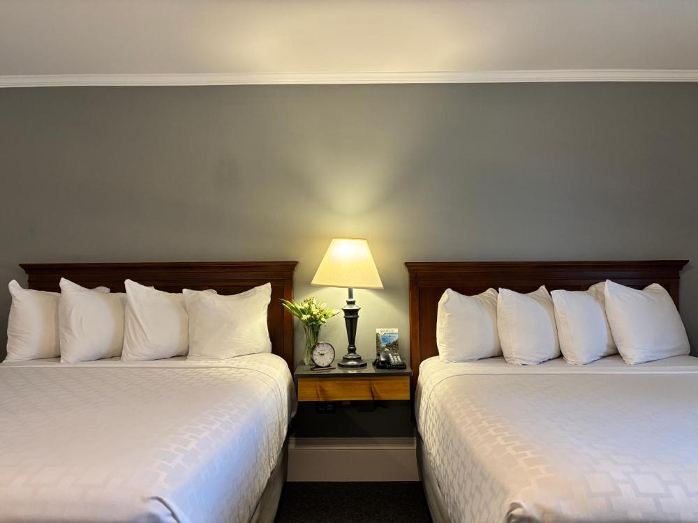 Standard Queen Room with Two Queen Beds interior